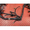 Faisceau électrique principale Cagiva 1000 Raptor 2000 à 2005